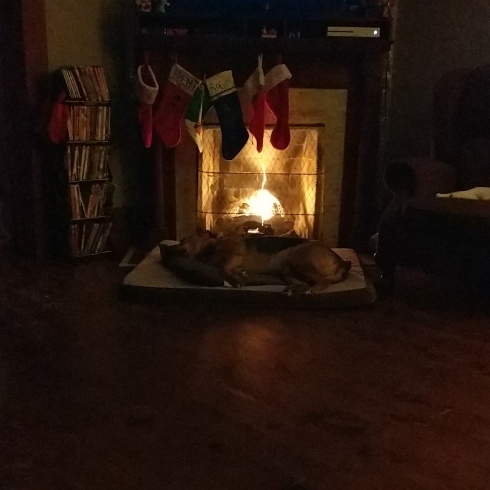 Meet your Posher, Klara